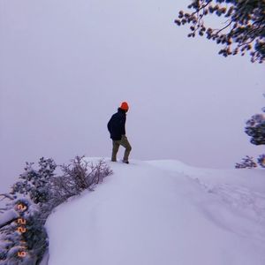 Meet your Posher, Jack